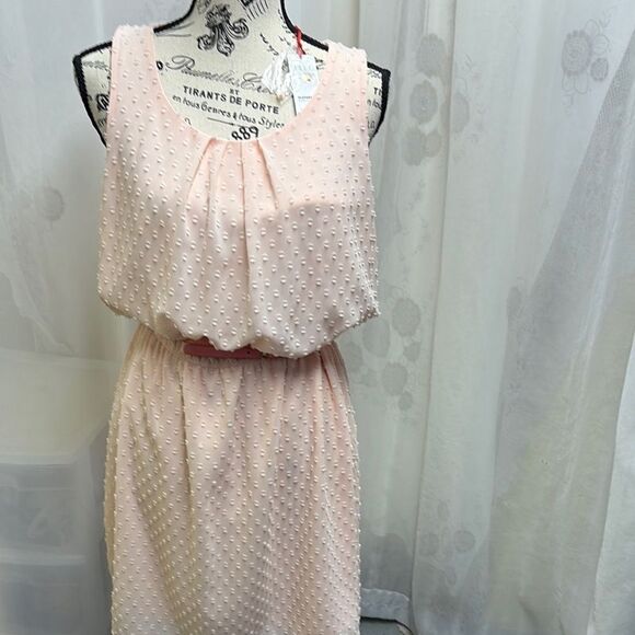 Elegant Pink Sleeveless Dress - Picture 1 of 5